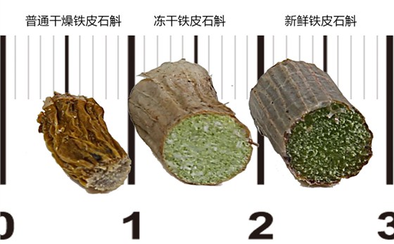 對(duì)比