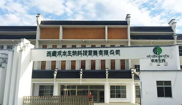 從西藏求本看中藥現(xiàn)代化:科研為基，打造中藥凍干產(chǎn)品新標(biāo)桿